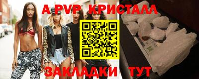 ECSTASY Гатчина