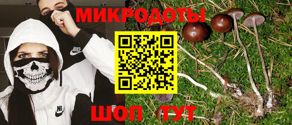 Псилоцибиновые грибы MAGIC MUSHROOMS Вязьма
